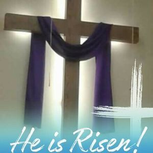 Meet your Posher, Sheila